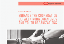 HOW CAN WE ENHANCE THE COLLABORATION BETWEEN NORWEGIAN SMES AND YOUTH ORGANIZATIONS?