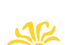 Arnika